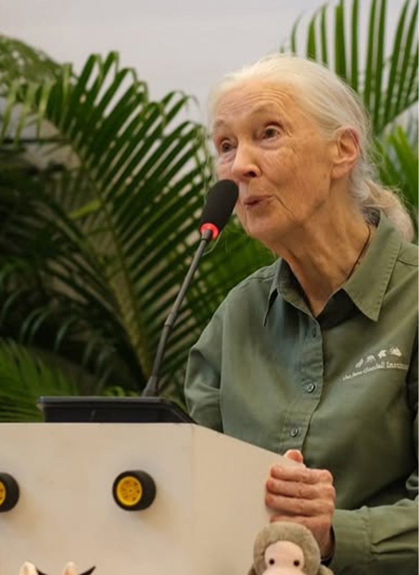 Jane Goodall exhibit at <br>Museum of Solutions